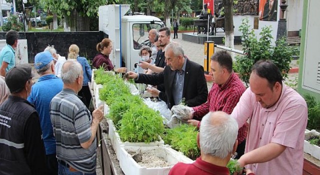 Saray Çiçek Gibi Kokacak