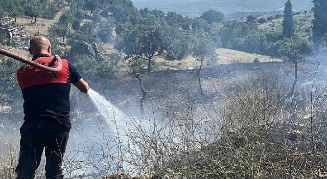 Aydın Koçarlı’daki yangın kontrol altına alındı