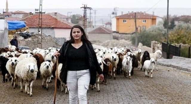 Devlet Diplomalı Çoban istihdam edecek