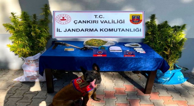 Çankırı’da uyuşturucu operasyonu: 2 gözaltı