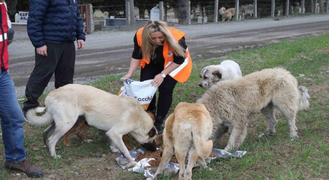 Atakum Belediyesi’nden patili dostlara 32 ton mama desteği