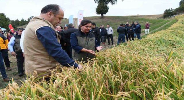 Çanakkale’de ’Damlaya Damlaya Çeltik Olur’ hasat programı