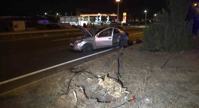 Elazığ’da otomobil ağaca çarptı: 3 yaralı