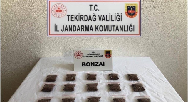 İstanbul’dan bonzai getirirken yakalandı