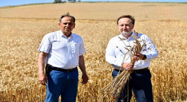 Karesi Belediyesi tarımsal kalkınmayı destekliyor