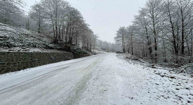 Artvin’de kar yağışı nedeniyle 13 köy yolu ulaşıma kapandı