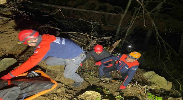 Artvin’de orman işçisi uçuruma yuvarlanarak öldü