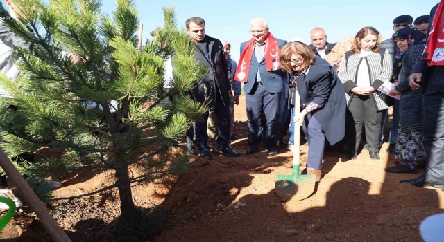 Büyükşehir, Taşlıca Malazgirt Mahallesi’nde ağaç dikimi yaptı