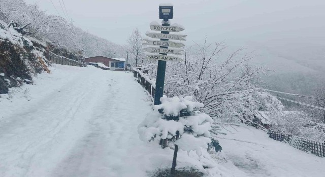 Ordu’nun yüksek kesimlerinde kar yağışı etkili oldu