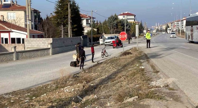 Yola çıkan başıboş eşeklere tır çarptı