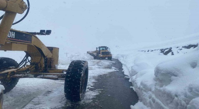 Hakkari’de kapanan 191 yerleşim yolu yeniden açıldı