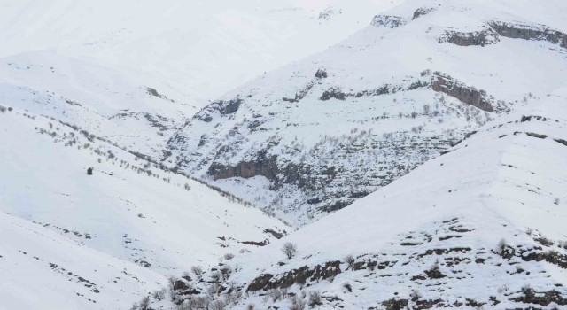 Şırnak’ta kar altında kalan Tanin Tanin Dağları havadan görüntülendi