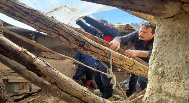 Yıkılan ahırda mahsur kalan inek kurtarıldı