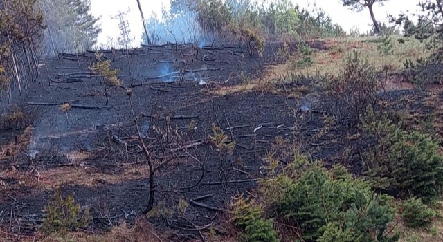 Kastamonu’da enerji nakil hattından çıkan yangın büyümeden söndürüldü