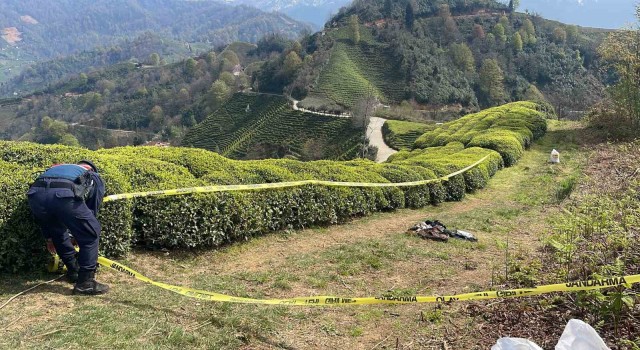 Rize’de çay bahçesinde erkek cesedi bulundu