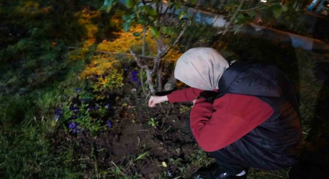 Bilecik’te yüzyıllardır süren gelenek bu yıl da yaşatıldı