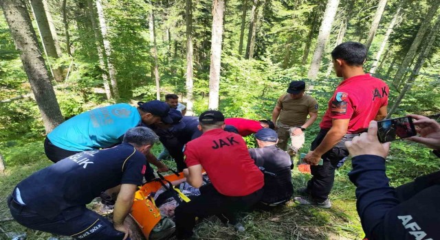 9 gündür kayıp olarak aranan kadın ormanlık alanda bulundu