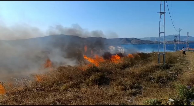 Avşa’da arazi yangını yürekleri ağıza getirdi