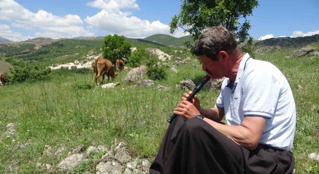 Bin 400 metre rakımdaki sürülerini ”flüt” eşliğinde otlatıyor