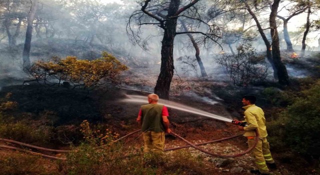 İzmir Büyükşehir orman yangınları için teyakkuza geçti