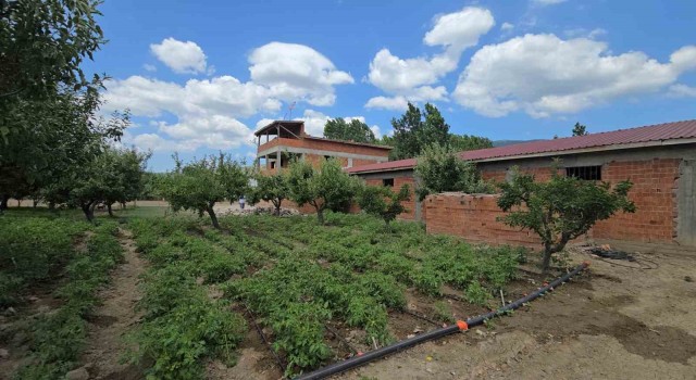 Tokat’ta alacak verecek meselesi kanlı bitti