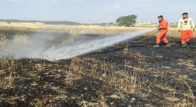 Dumlupınar’da tarım arazisindeki yangın büyümeden söndürüldü