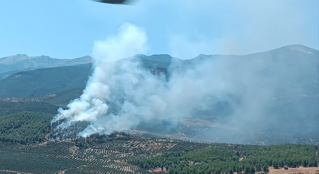 Hatay’da orman yangını