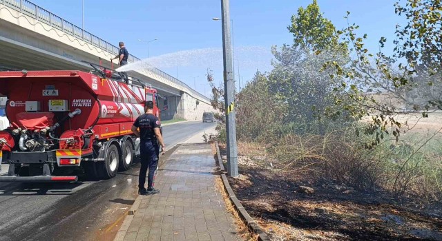 Manavgat'ta ol kenarına atılan sigara izmariti yangın çıkardı