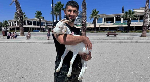 Kurban Bayramı’ndan bu yana baktığı keçi oğlu oldu