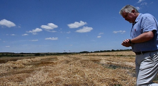 Lüleburgaz Belediyesi’nden 160 ton buğday hasadı