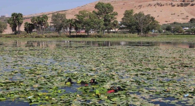 Doğa harikası Hatay Gölbaşı Gölü’nde kıyı ve dip temizliği gerçekleştirildi