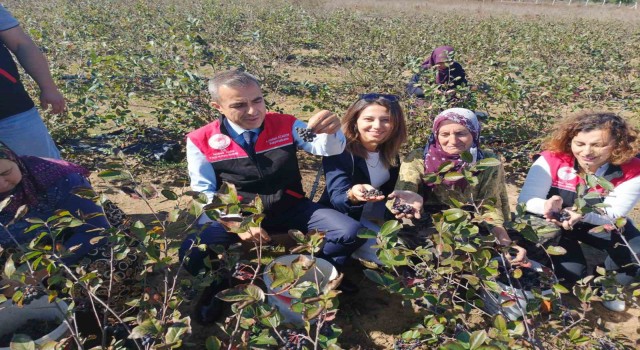 Erdek Kaymakamı Atasoy’dan Dünya Kadın Çiftçiler Günü Ziyareti