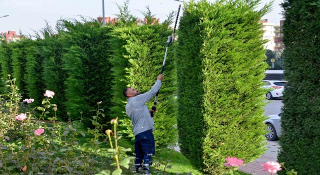 Meram’ın park ve bahçelerine kış bakımı