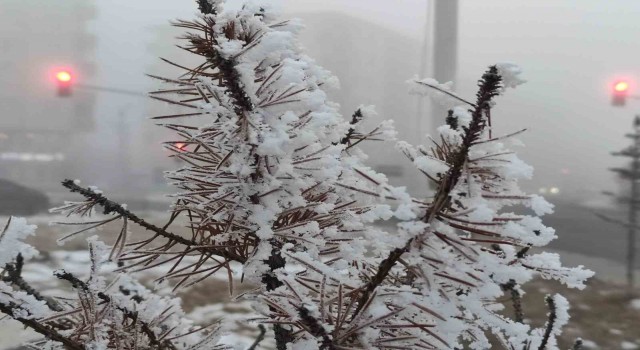 Ardahan’da soğuk hava ve sis hayatı olumsuz etkiliyor