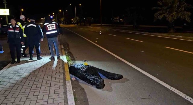 Kardeşini korumak isteyen ağabey otomobilin çarpmasıyla hayatını kaybetti