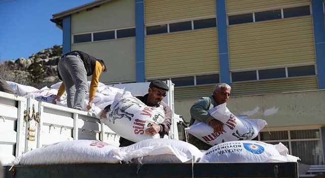 Antalya Büyükşehir’den hayvancılığa 503 bin 625 kg yem desteği
