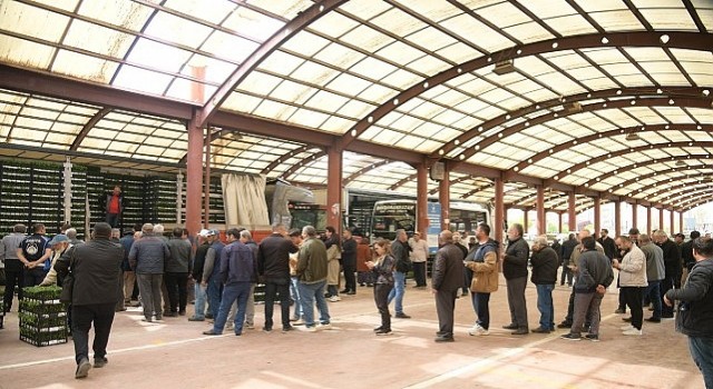 Kahramankazanlı Çiftçilere Fide Desteği Verildi