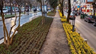 Yeni Yürüyüş Yolunun yeni yüzü