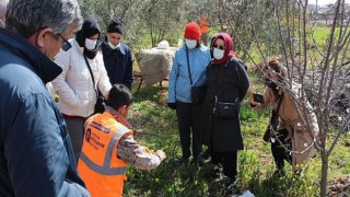 Büyükşehir’den ilçelerde budama ve aşı eğitimi