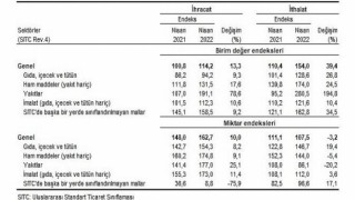 İhracat birim değer endeksi 13,3 arttı