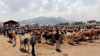 Van Büyükşehir Belediyesi, kent genelindeki kurban kesim noktalarını belirledi.