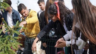 Genç Öğrenciler Hayvan Sevgisine Dikkat Çekti