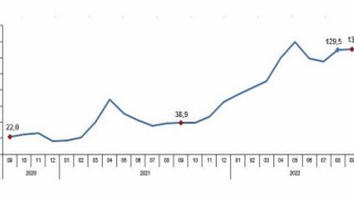 TÜİK Perakende satış hacmi yıllık yüzde 9,7 arttı