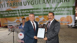 Mandalina rekoltesi yüzde 100'ün üzerinde arttı