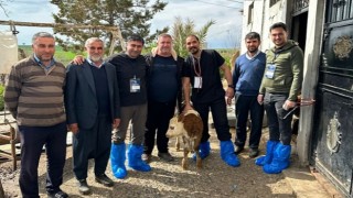 DEÜ’lü Uzmanlardan Deprem Bölgesinde Şap Virüsü Uyarıları