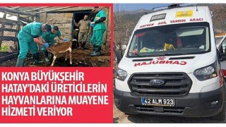 Konya Büyükşehir Hatay’daki Üreticilerin Hayvanlarına Muayene Hizmeti Veriyor