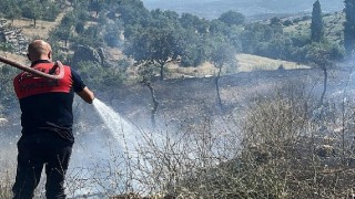 Aydın Koçarlı’daki yangın kontrol altına alındı