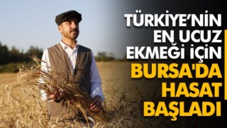 Kestel Belediyesi Türkiye’nin En Ucuz Ekmeği İçin Kolları Sıvadı