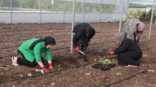 Kocaeli Büyükşehir’den kadın girişimcilere tarımsal destek