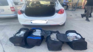 Şanlıurfa’da 34 kilo skunk maddesi ele geçirildi